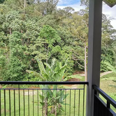 Sementra Hot Spring Nature Resort Gopeng Exterior foto